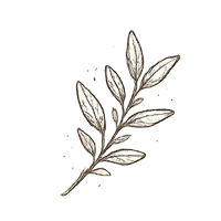 Natürliche Inhaltsstoffe